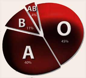 b bloodtypes 01 Ishrana po krvnoj grupi