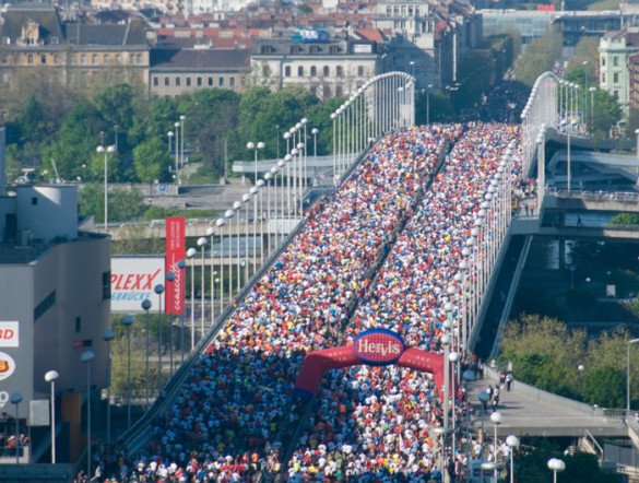 Uskrs u Beču 2009. – Sjaj bečkog maratona fotografija misic bec 585x442 Uskrs u Beču 2009. – Sjaj bečkog maratona