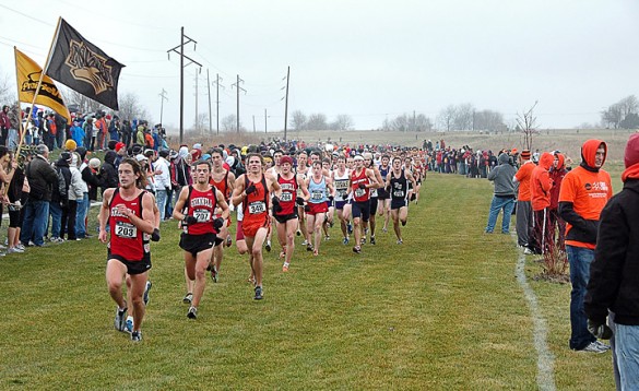 Kros fotografija Cross Country 5 585x358 Kros