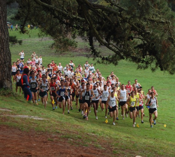 Kros fotografija run cross country 2 585x524 Kros