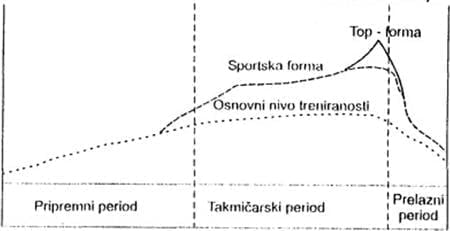 Sportska forma fotografija untitled Sportska forma