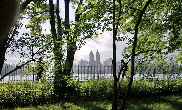 central park nju jork  Toronto polumaraton 2012: Konačno se sve poklopilo!