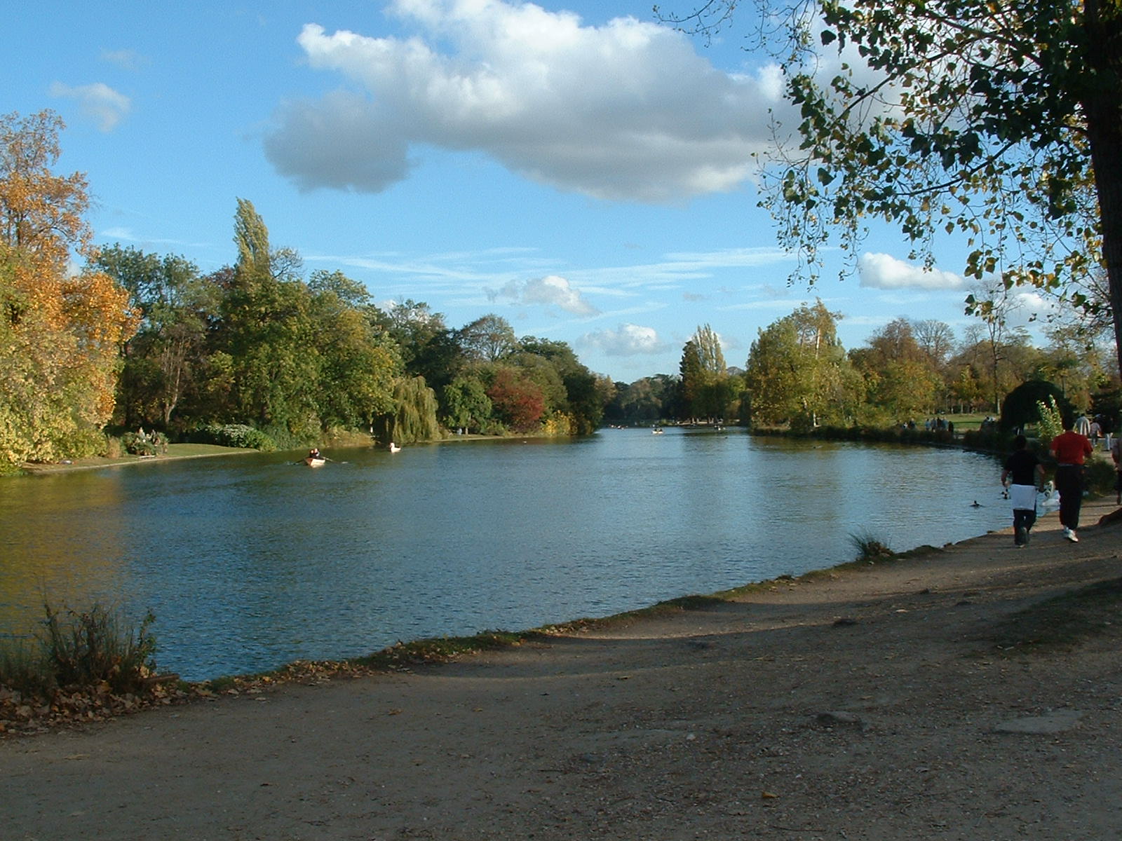 Aleksandar Cornelius Manić: Trčanje u Parizu