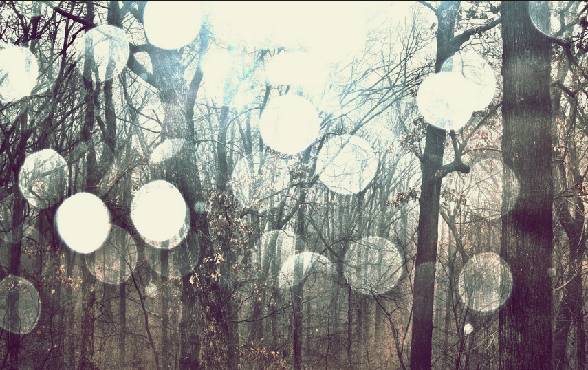 Jesenji blues – tiha pesma koja menja ritam