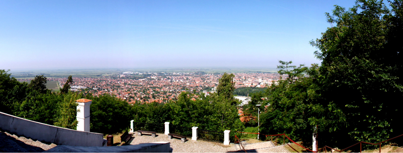 Vršačka trka uz stepenice 2016.