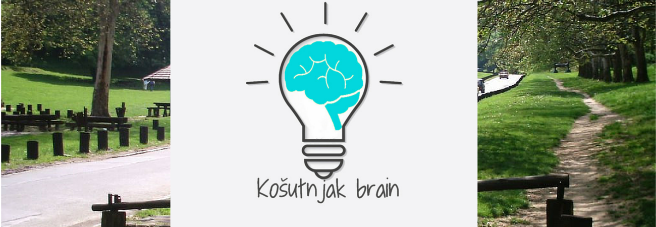 Košutnjak brain – trka koja zahteva razmišljanje!