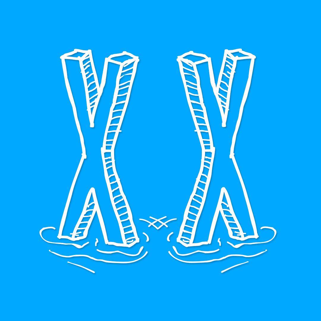 Dve decenije Dunavskih čarolija i zašto je glupo propustiti ovaj jubilej