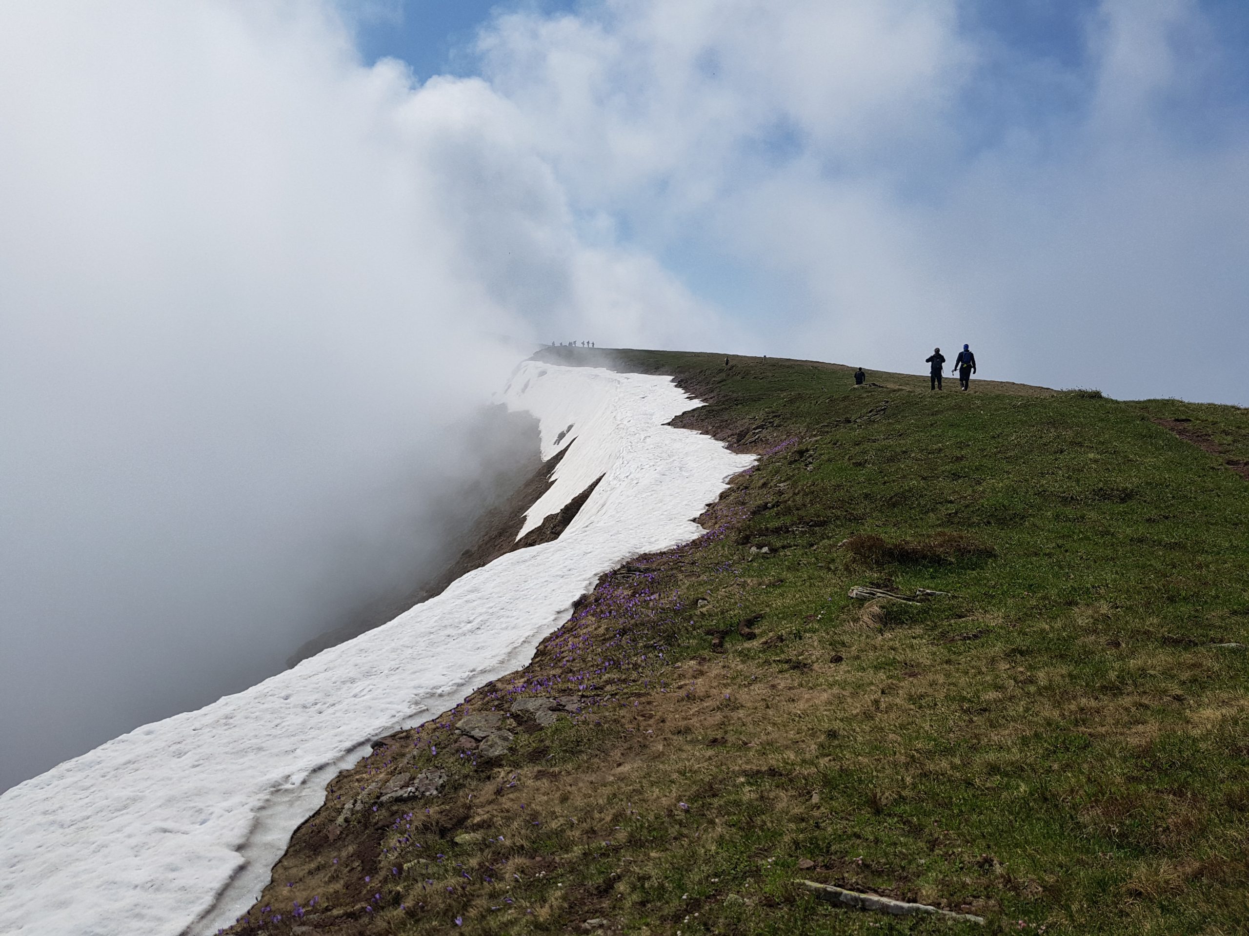 Ultrakleka 2019 – White walkers i Guske u magli