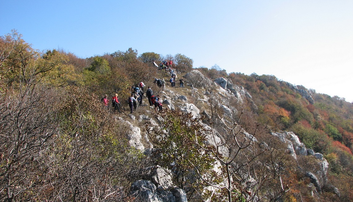 Lipovačka vertikala – prva trka ovog formata kod Planinarskog saveza Srbije