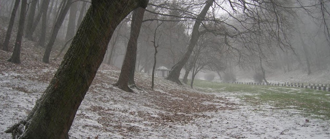Novogodišnja Planinska Trka na Košutnjaku