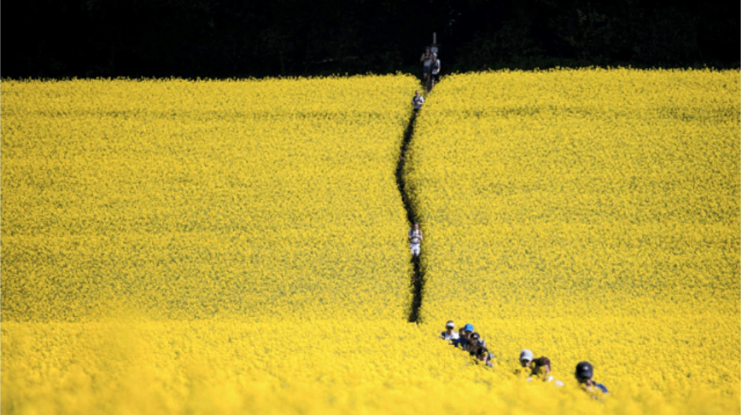 Running to the stones – najduža Ultra Trail trka u Engleskoj