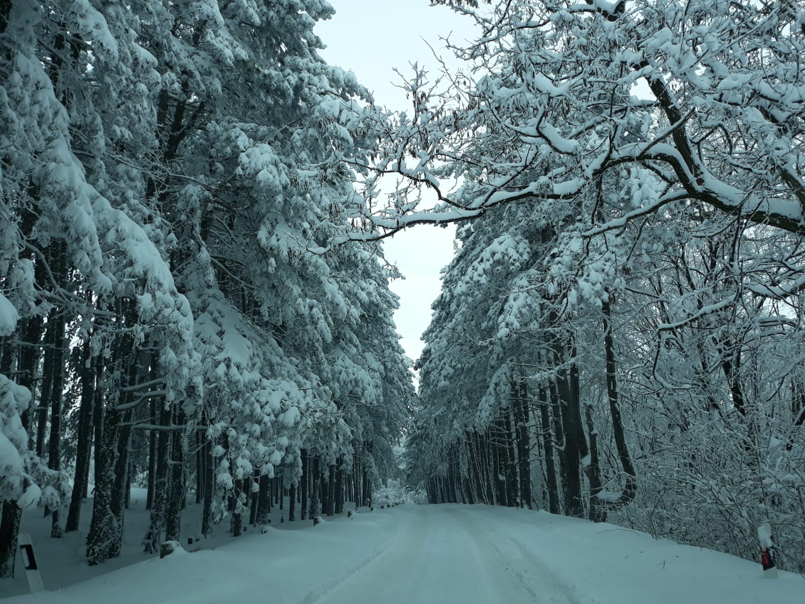 Trčanje u doba crvenog meteoalarma: svi na planinu!