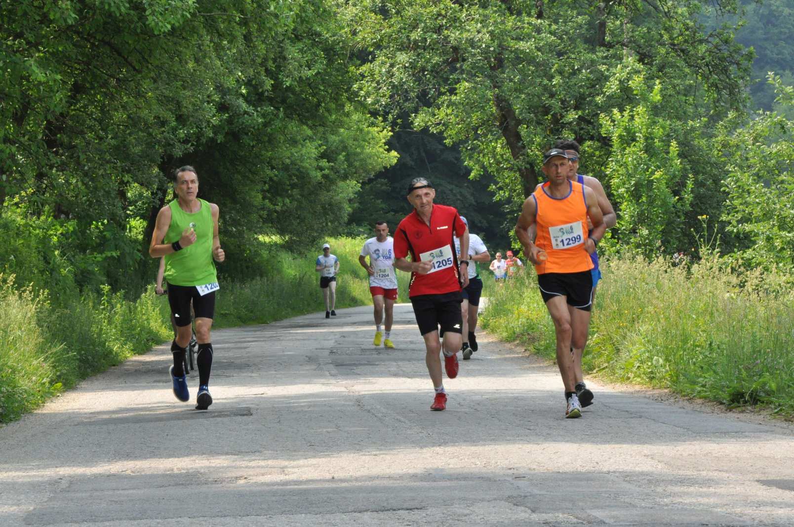 Maraton Stazama Branka Ćopića 2019.