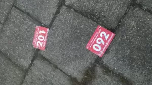 Kako organizovati trku blog