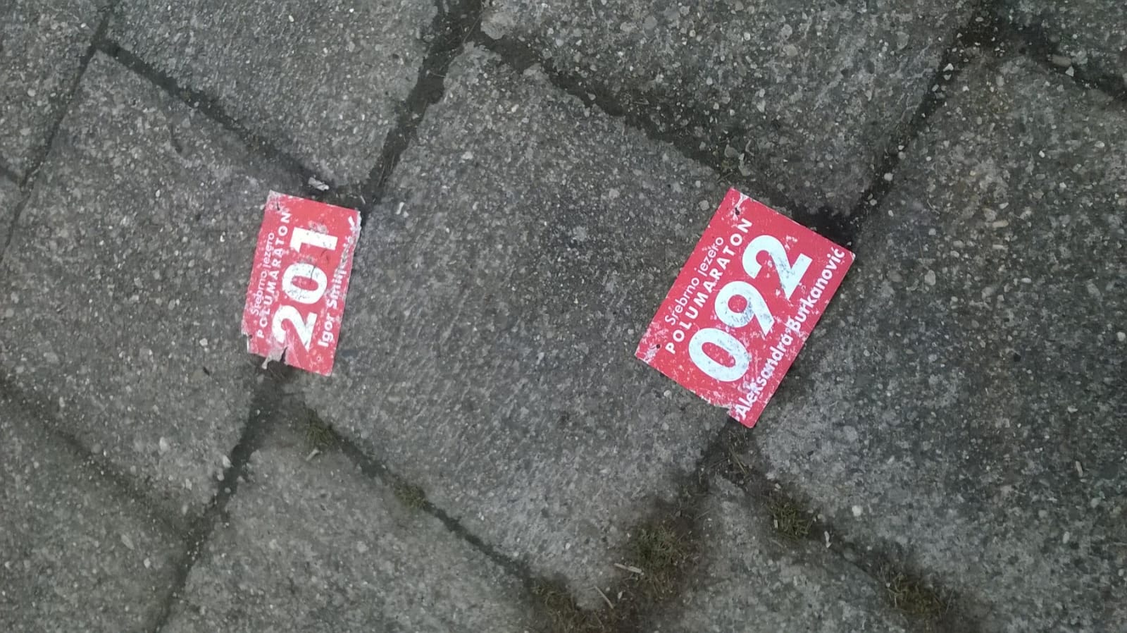 Kako organizovati trku